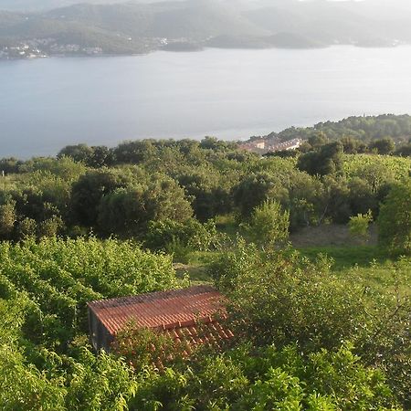 Apartment Bogoje Kuciste Dış mekan fotoğraf