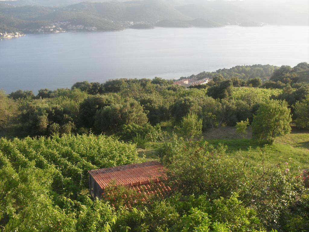 Apartment Bogoje Kuciste Dış mekan fotoğraf